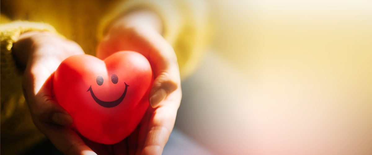 Z6���������Ї�(gu��)���ٷ��W(w��ng)վ