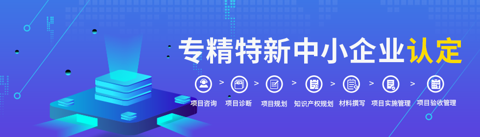 岳陽市專精特新中幼企業(yè)認(rèn)定